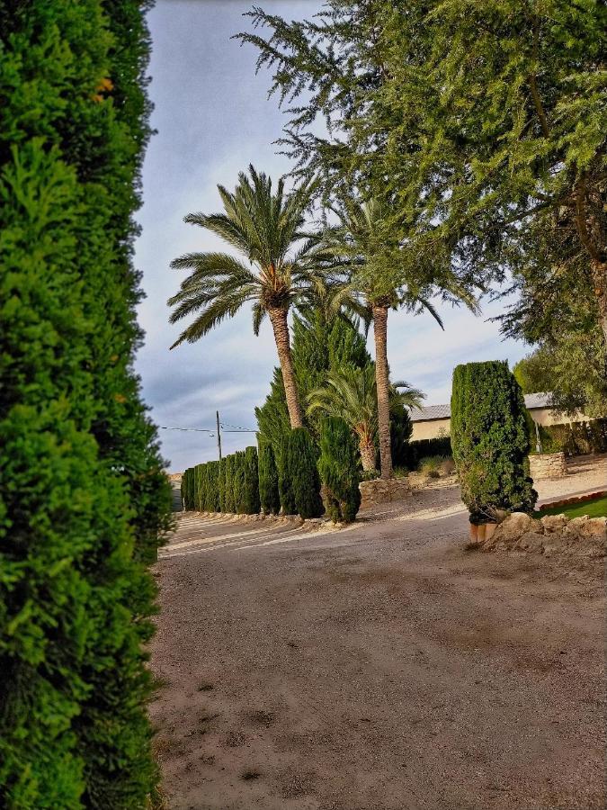 Casa Rural Las Palmeras Tobarra Eksteriør billede
